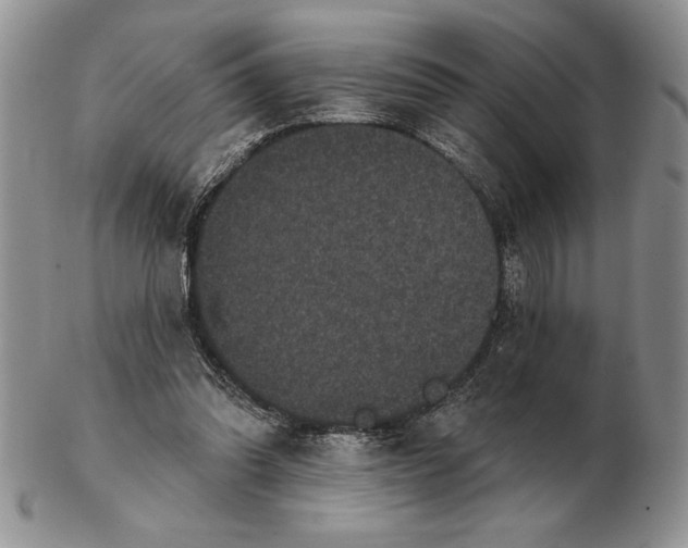 X0000102400302200808221854