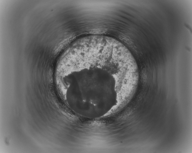 X0000102400303200808221854