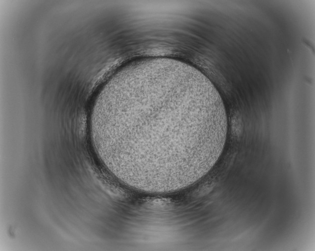 X0000102400304200808221854