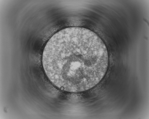 X0000102400305200808221854