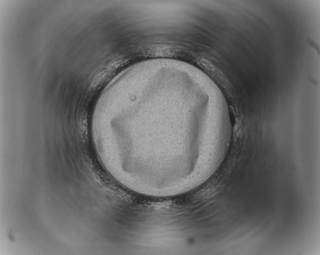 X0000102400306200808221854