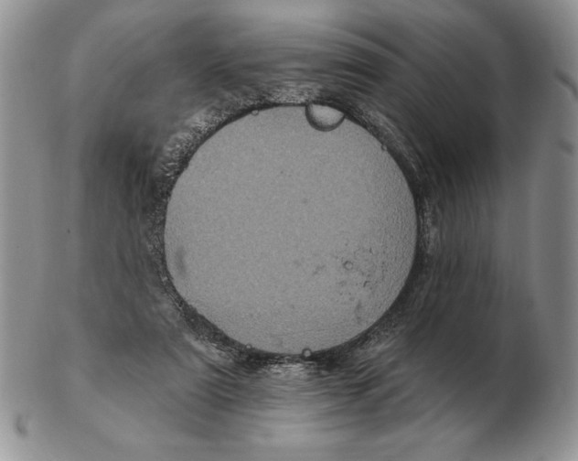 X0000102400307200808221854