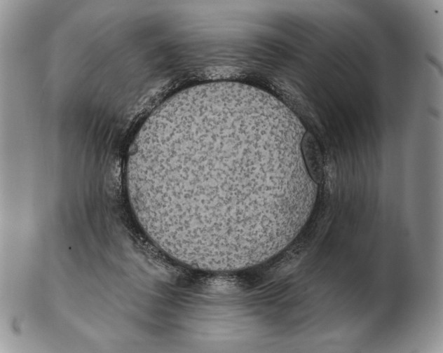 X0000102400308200808221854