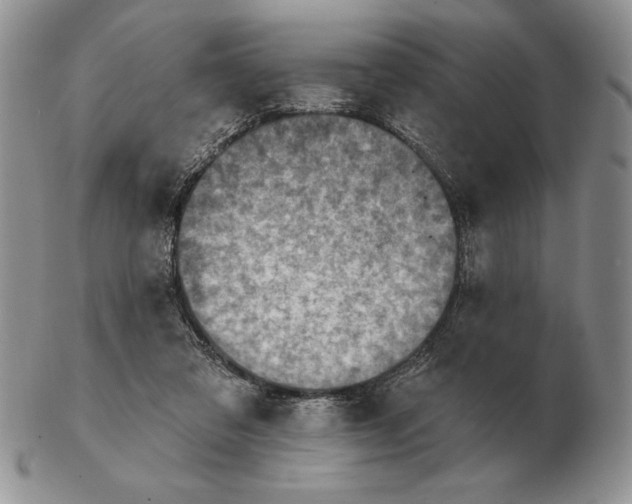 X0000102400309200808221854