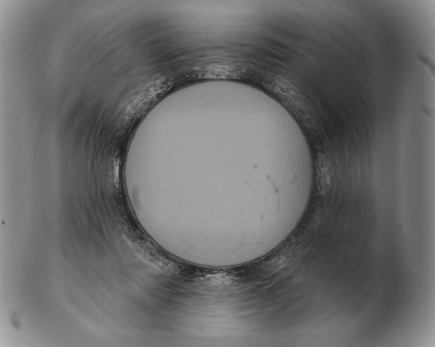 X0000102400310200808221854