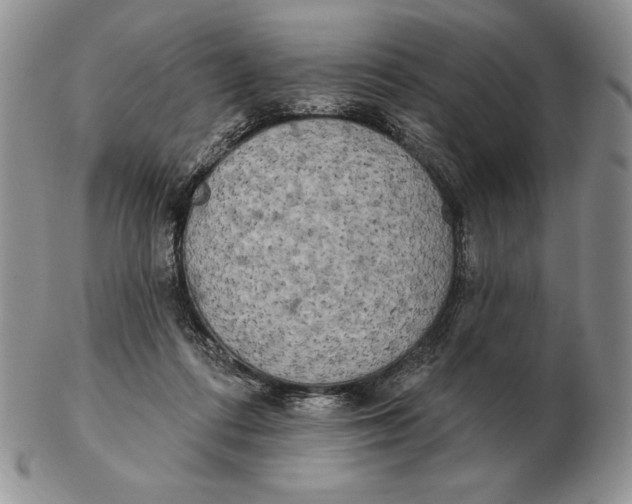X0000102400312200808221854