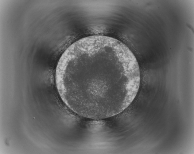 X0000102400313200808221854