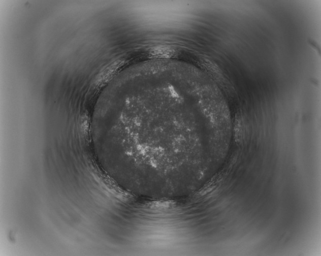 X0000102400314200808221854