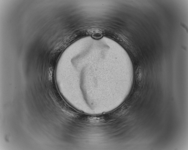 X0000102400315200808221854