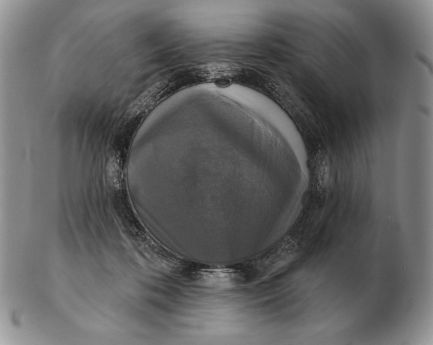 X0000102400316200808221853