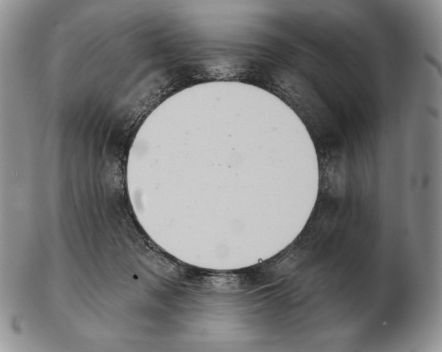 X0000102400317200808221853