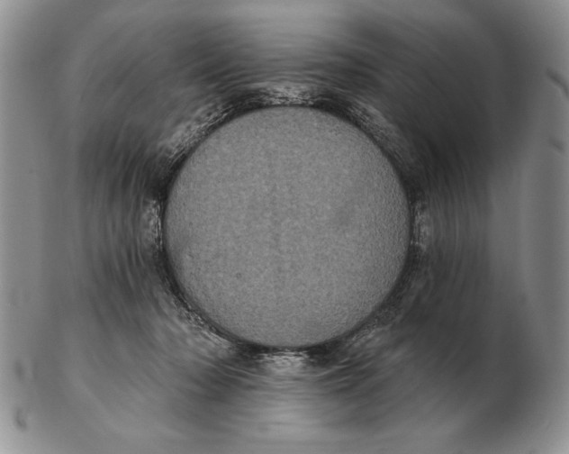 X0000102400318200808221853