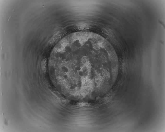 X0000102400319200808221853