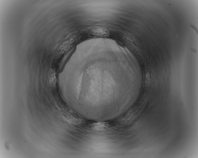 X0000102400320200808221853