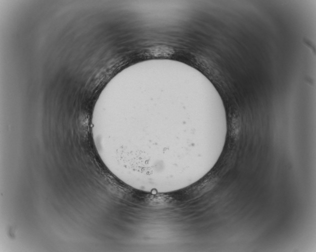 X0000102400321200808221853