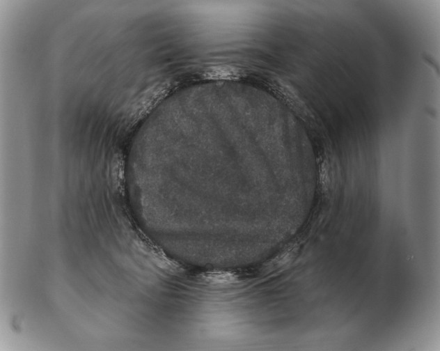 X0000102400322200808221853