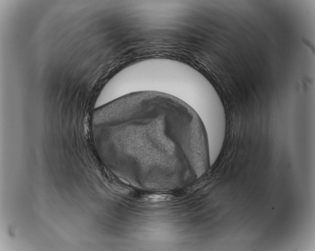 X0000102400323200808221853