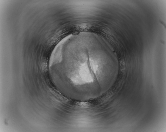 X0000102400324200808221853