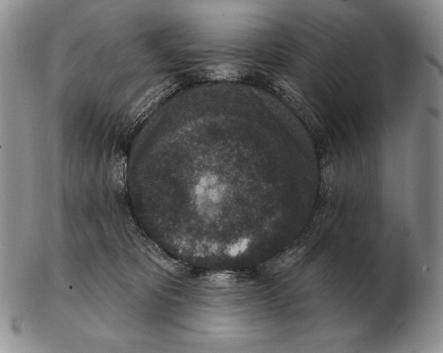 X0000102400325200808221853
