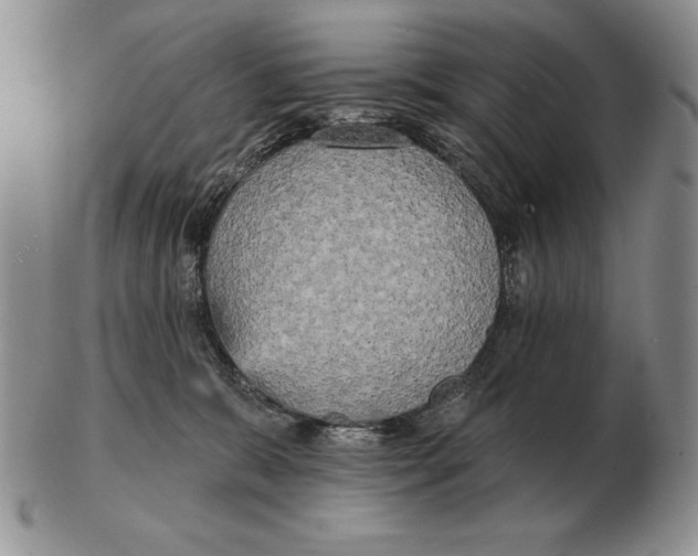 X0000102400327200808221853