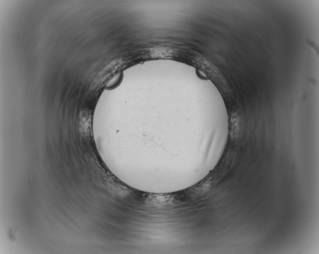 X0000102400329200808221853