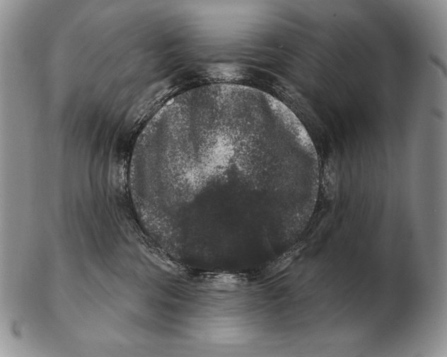 X0000102400330200808221853
