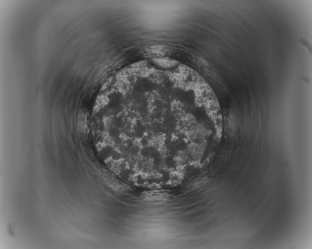X0000102400331200808221853