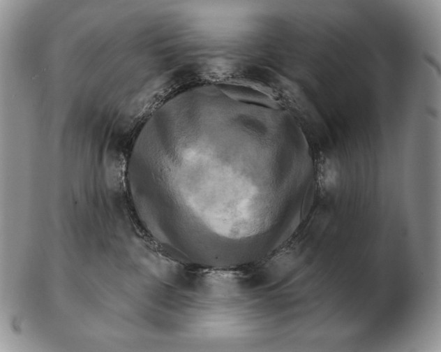 X0000102400332200808221853