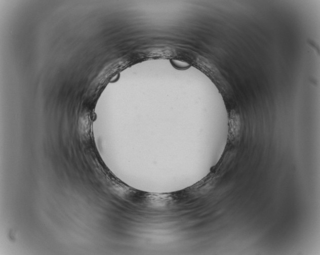 X0000102400333200808221853
