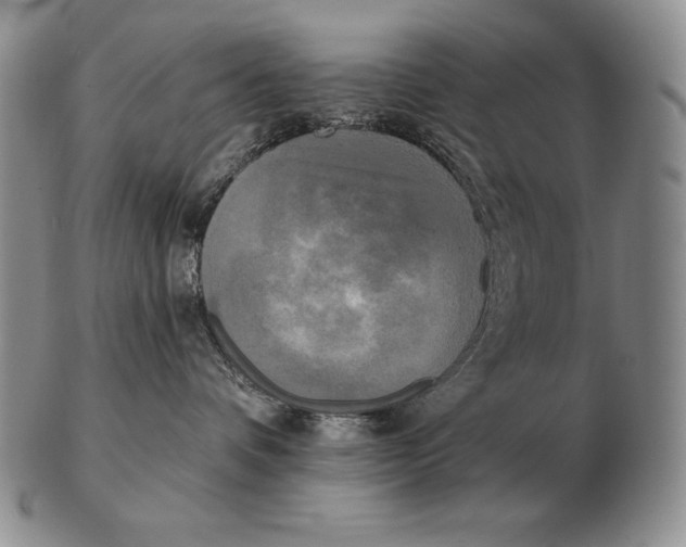 X0000102400336200808221853