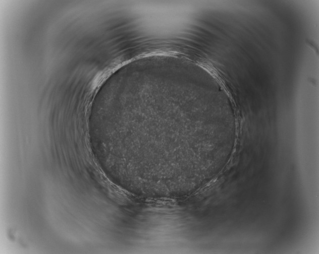 X0000102400337200808221852