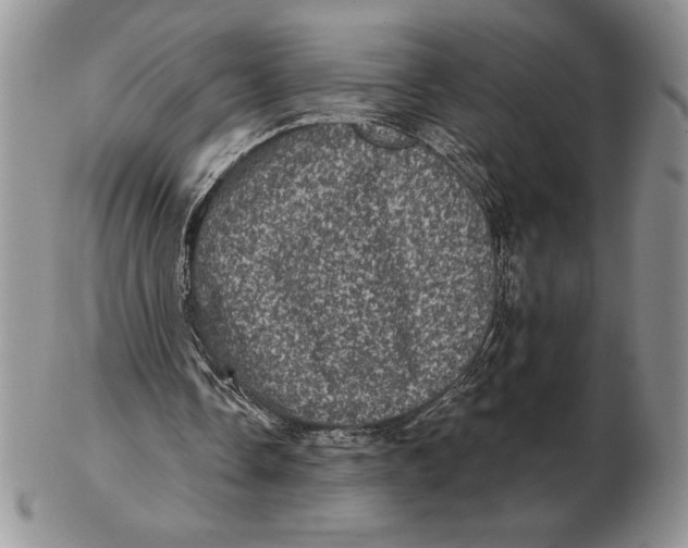 X0000102400338200808221852