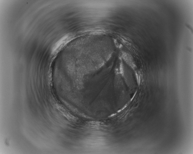 X0000102400339200808221852
