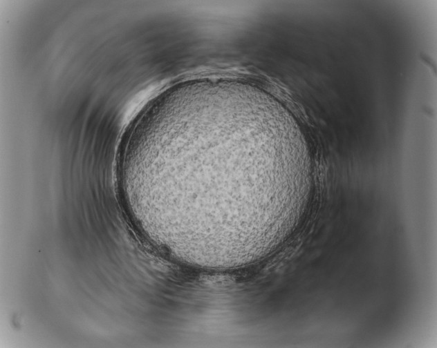 X0000102400340200808221852