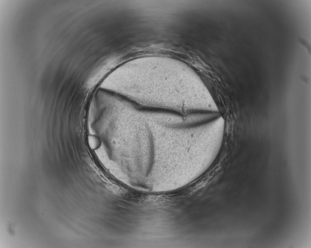 X0000102400341200808221852