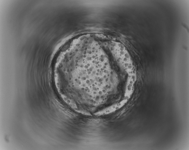 X0000102400342200808221852