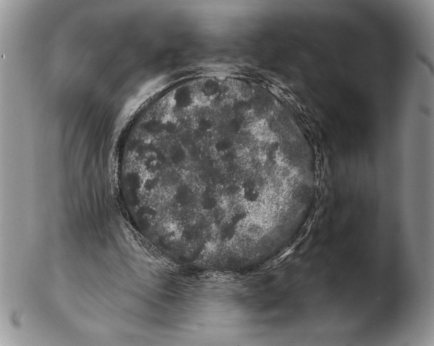 X0000102400343200808221852