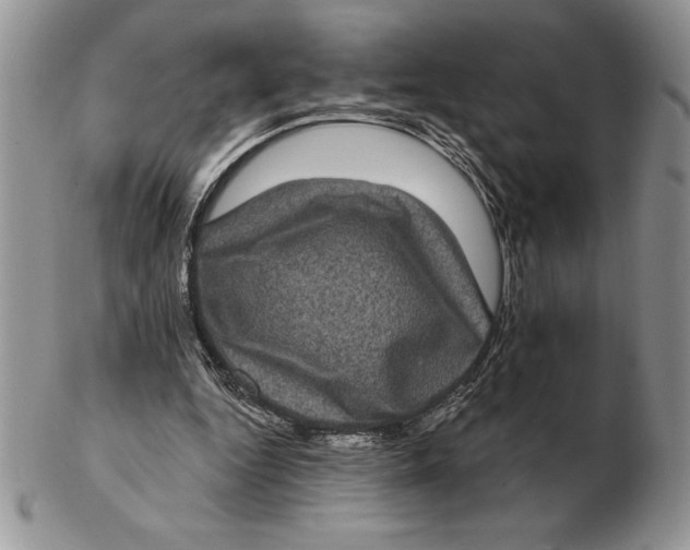 X0000102400344200808221852