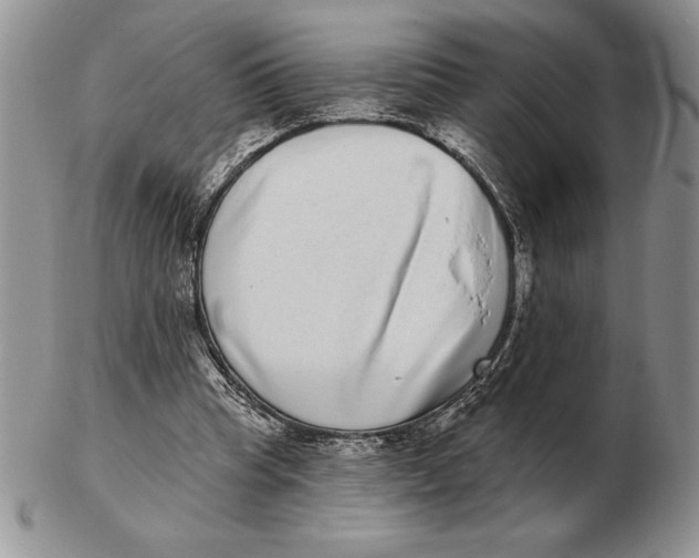 X0000102400345200808221853