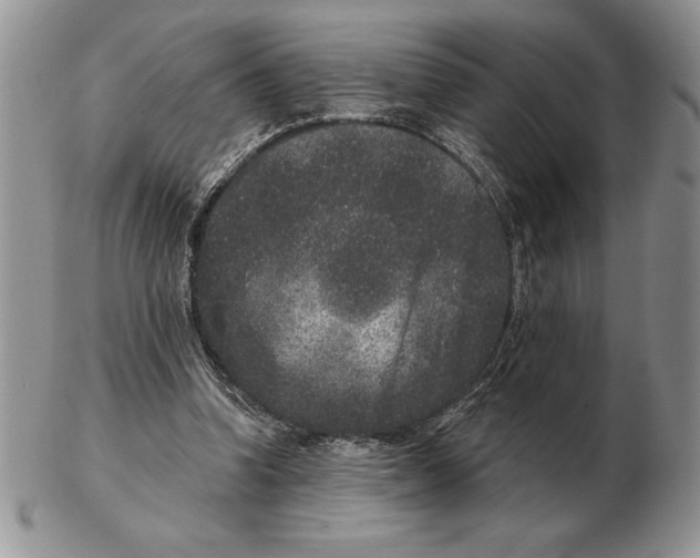 X0000102400346200808221853