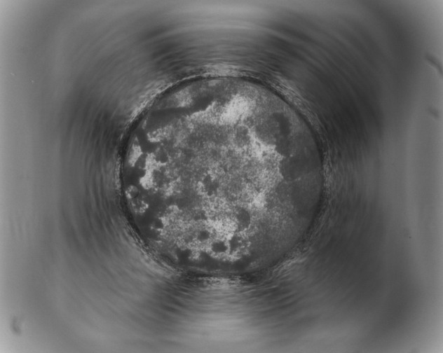 X0000102400347200808221853