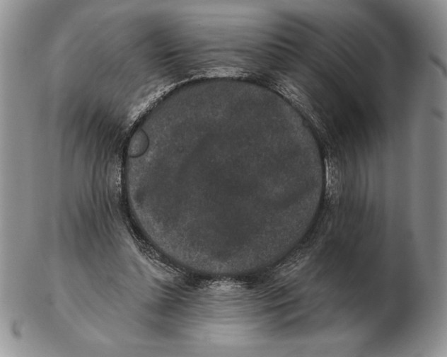 X0000102400348200808221853
