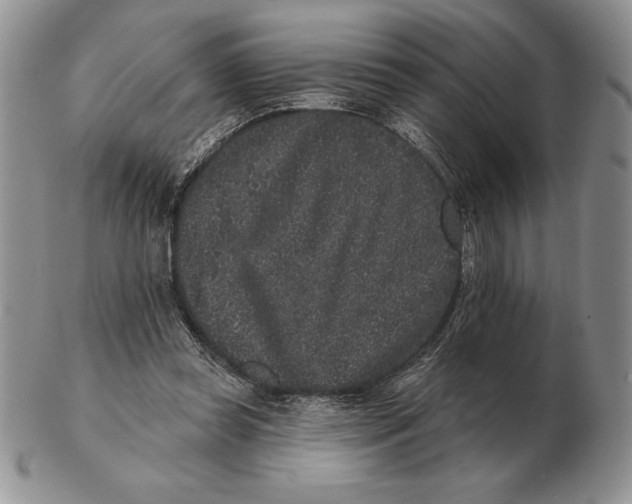 X0000102400349200808221853