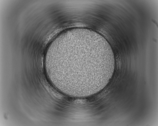 X0000102400350200808221853