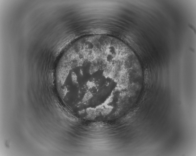 X0000102400351200808221853