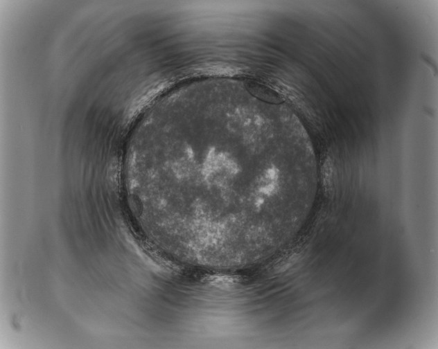 X0000102400352200808221853