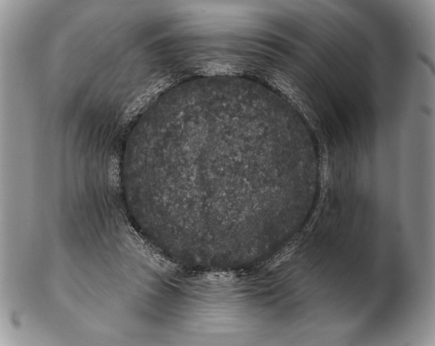 X0000102400353200808221853