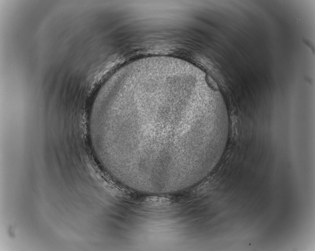X0000102400354200808221853