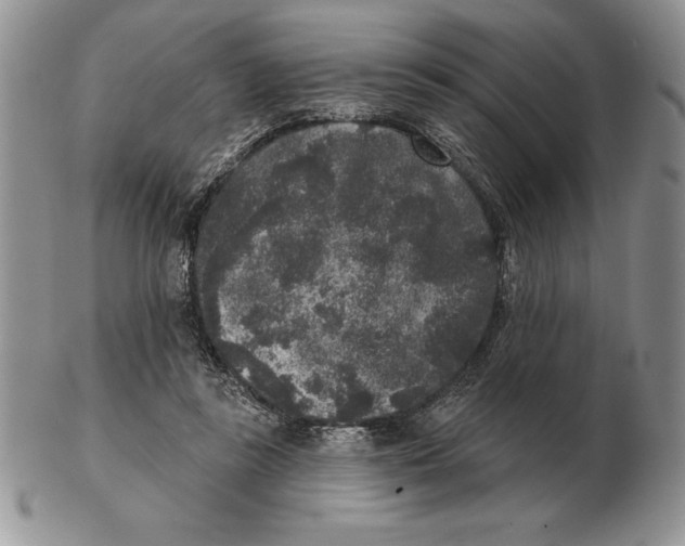 X0000102400355200808221853