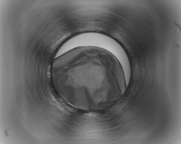 X0000102400356200808221853